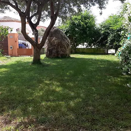 Ibisco * Tertenìa