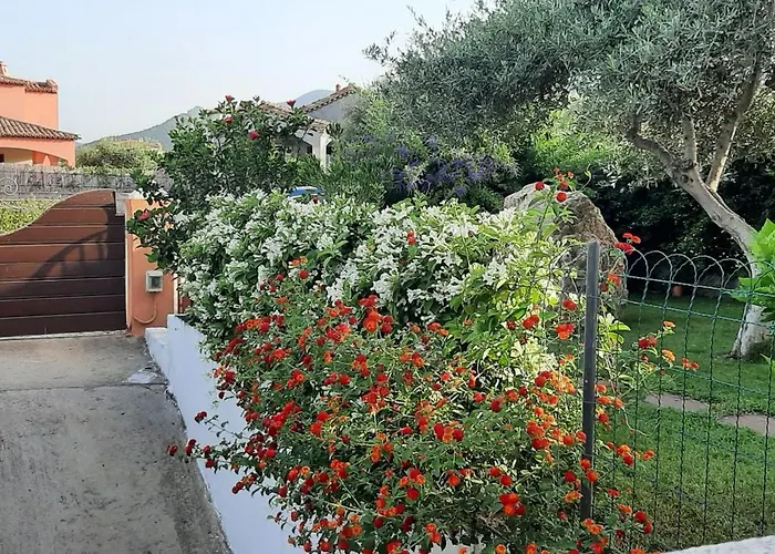 Prázdninový dům Ibisco Tertenìa