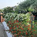 펜션 Ibisco 테르테니아