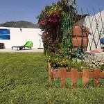 Ibisco * 테르테니아