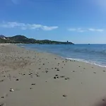 Ibisco *