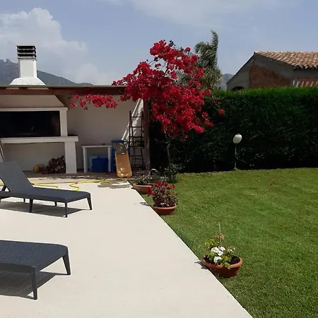 Ibisco * 테르테니아