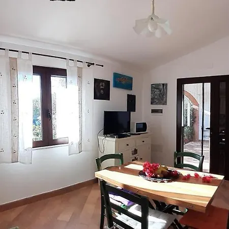 Ibisco 테르테니아