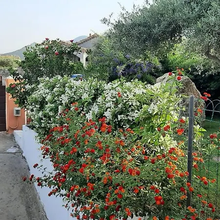 Hébergement de vacances Ibisco Tertenìa