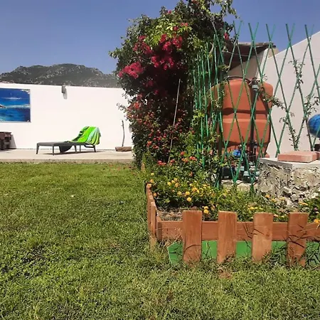 Ibisco * Tertenìa