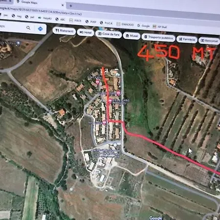 Ibisco * 테르테니아