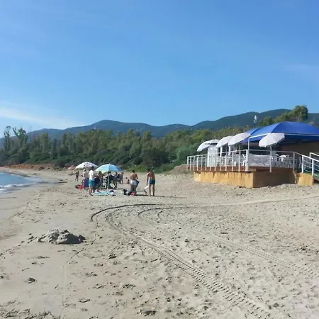 Ibisco 테르테니아